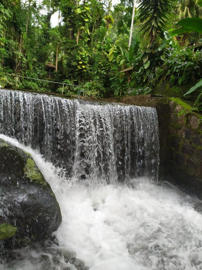 Apartmán Toca Da Onca Penedo  Exteriér fotografie