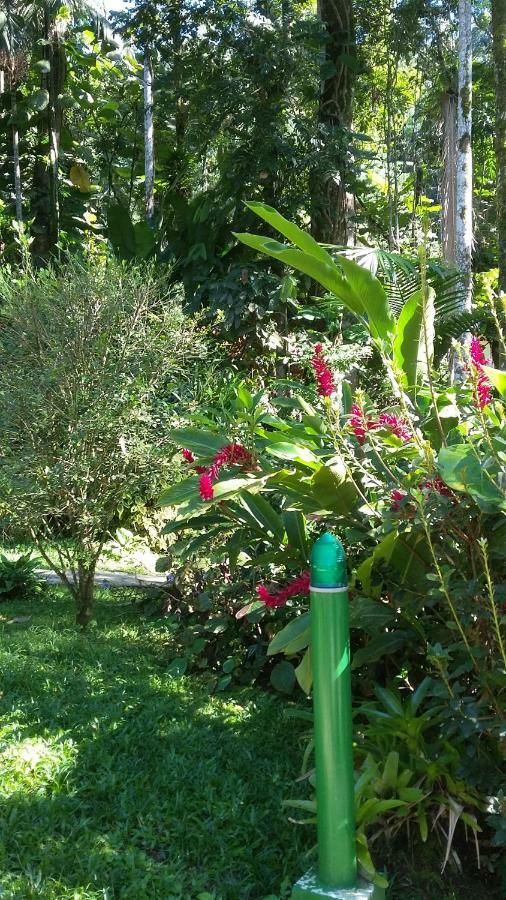 Apartmán Toca Da Onca Penedo  Exteriér fotografie